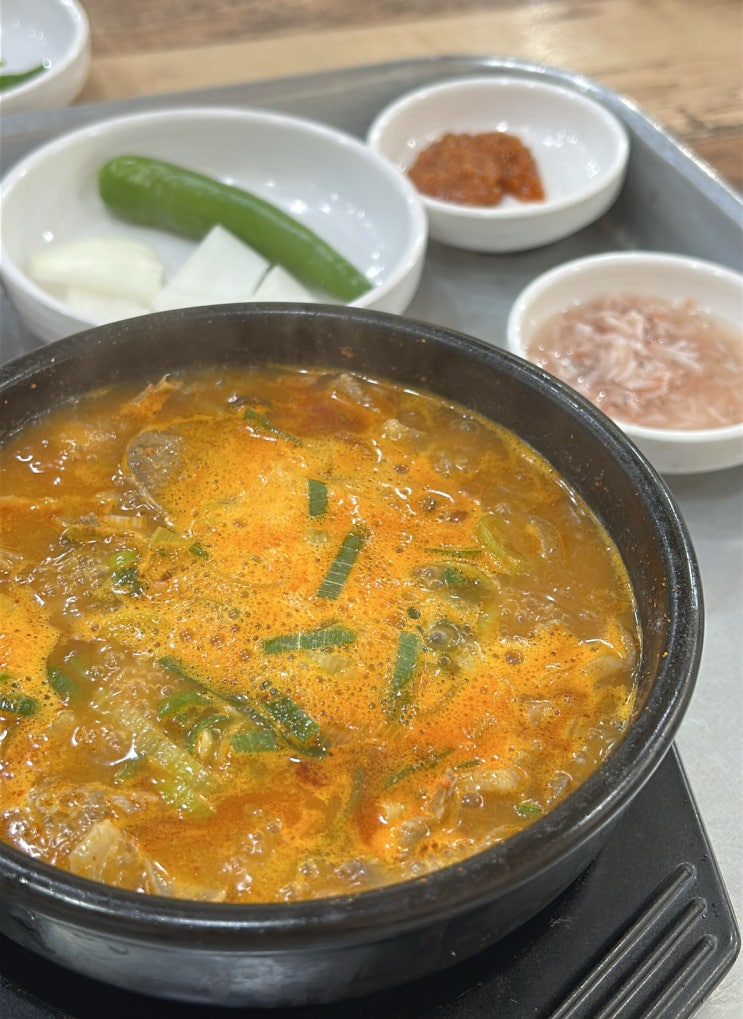  강릉 돼지국밥 맛집 홍돼지국밥 내돈내산 후기