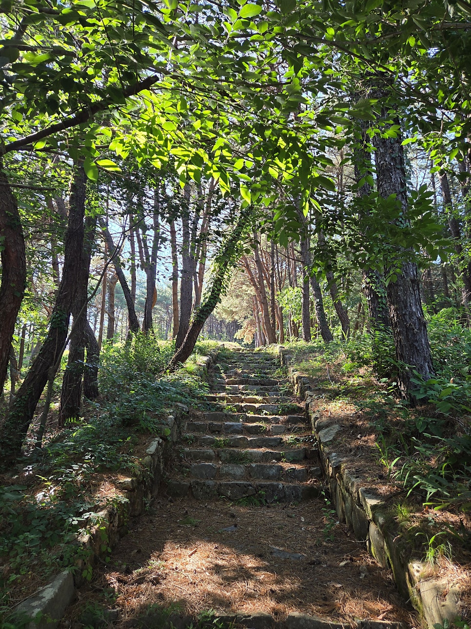 설운산 사진 5