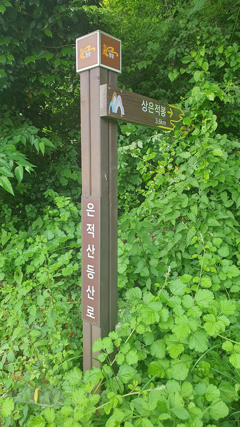상은적산 사진 6