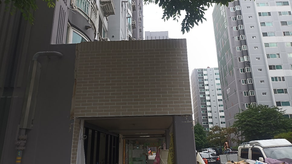 파파쉐프 사진 2