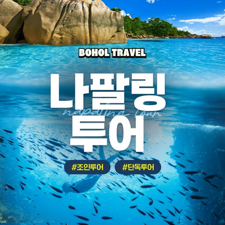  보홀 나팔링 투어 스노클링 정어리떼 만난 솔직한 후기