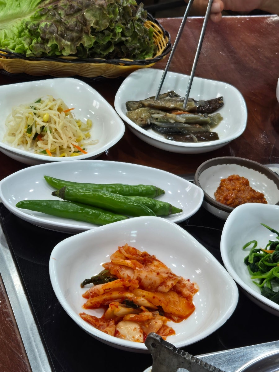 모이세 사진 3
