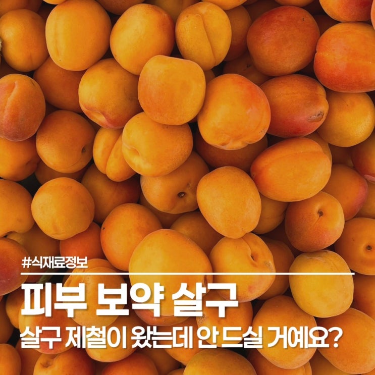  살구 제철, 살구 효능부터 실패 없는 보관법까지