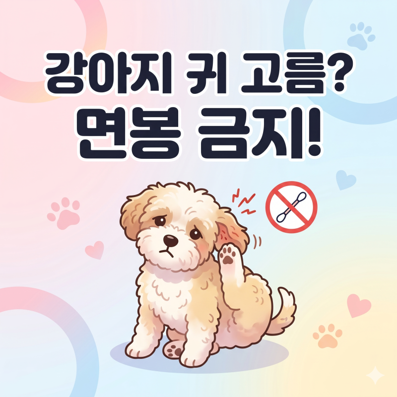 강아지 귀 고름 나올 때 절대 면봉을 쓰면 안 되는 이유