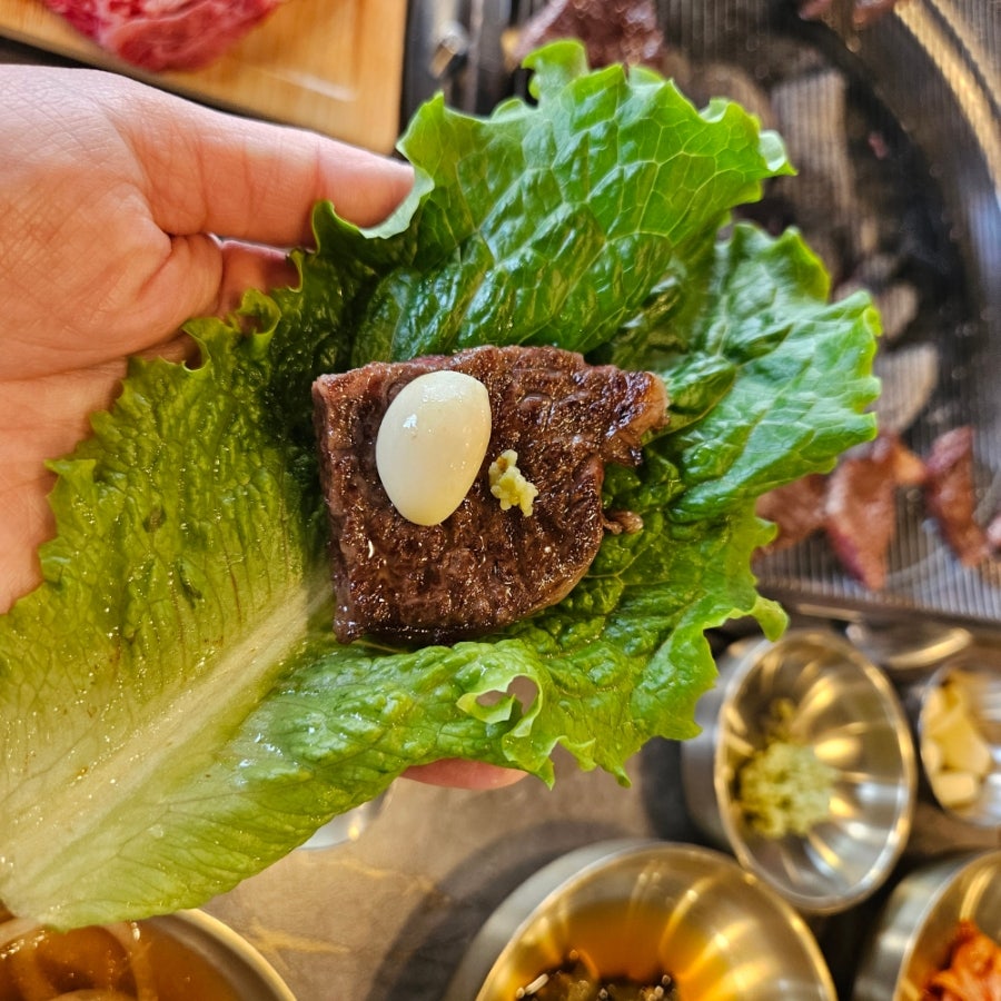 미가목장 사진 5