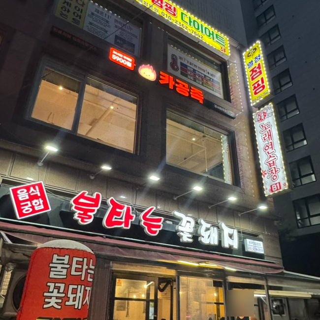 불타는꽃돼지 사진 2