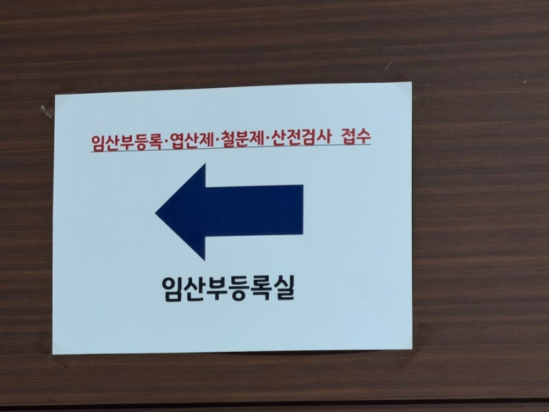 덕양구 보건소 임산부 등록 온라인 방문 신청 준비물