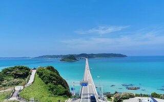  후쿠오카 근교 투어 - 전망대 및 신사 완벽 탐험 가이드