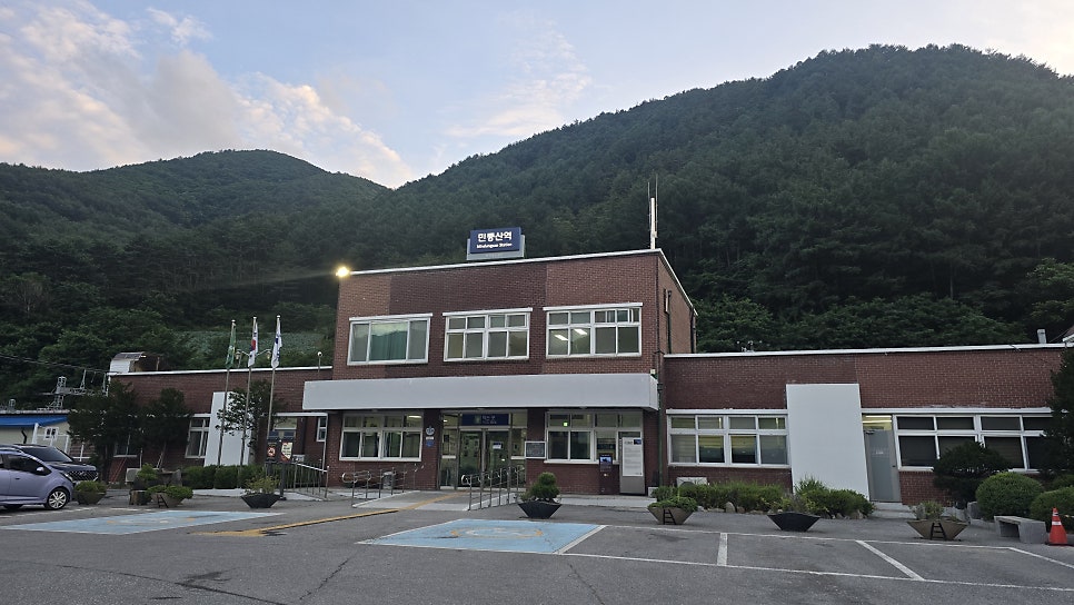 먹으면돈돼지 사진 3