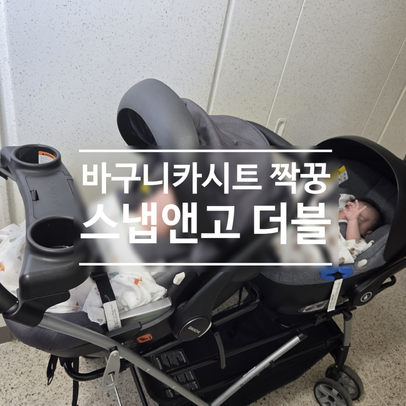 쌍둥이 아빠가 써본 바구니 카시트 + 스냅앤고더블 솔직 후기