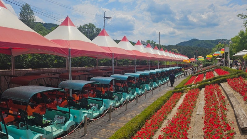 Chuncheon Pet-Friendly Trip: Challenging the Kim Yu-jeong Rail Bike?!