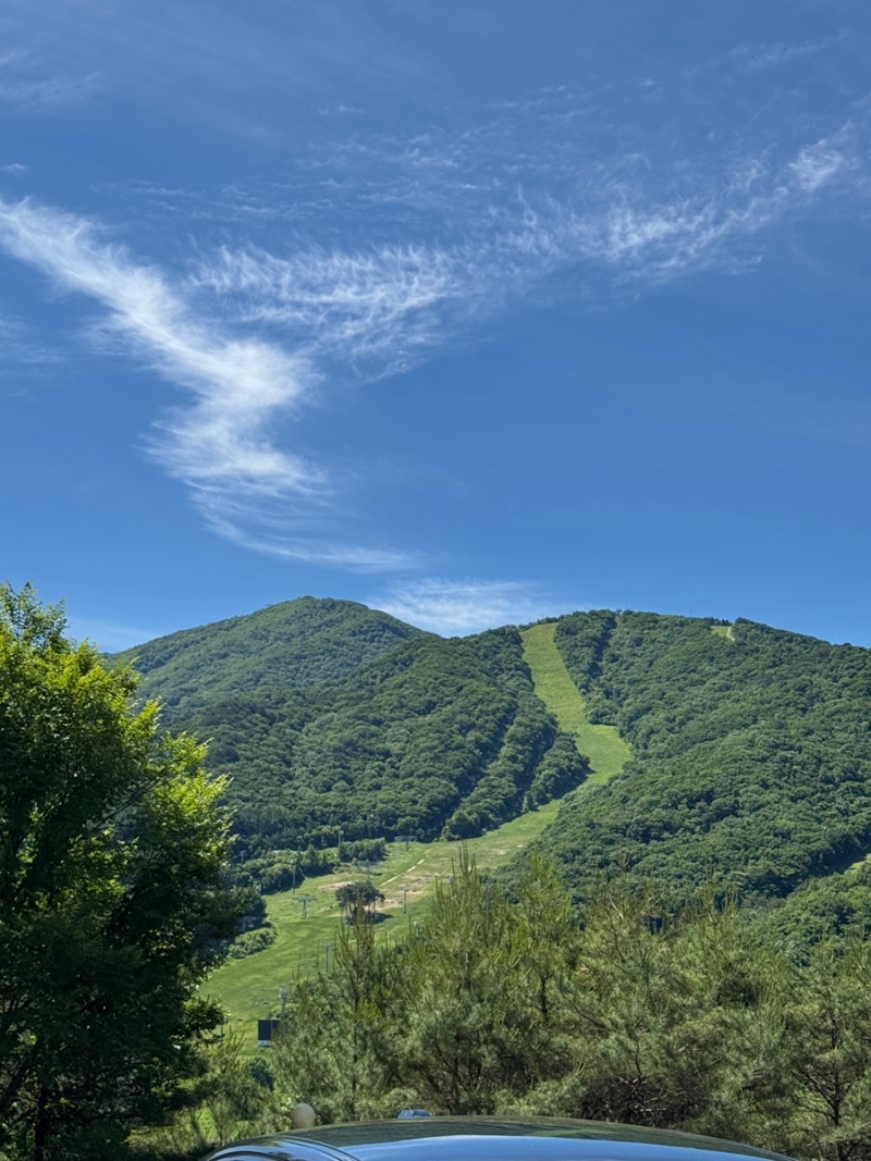 Muju Deogyusan Resort Family Hotel Gold: Recommended Accommodation for a Family of Four