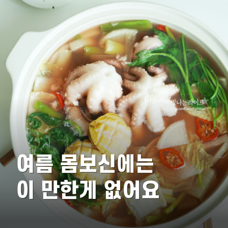 초복몸보신요리 고민 끝! 여름 보양식 낙지연포탕을 집에서