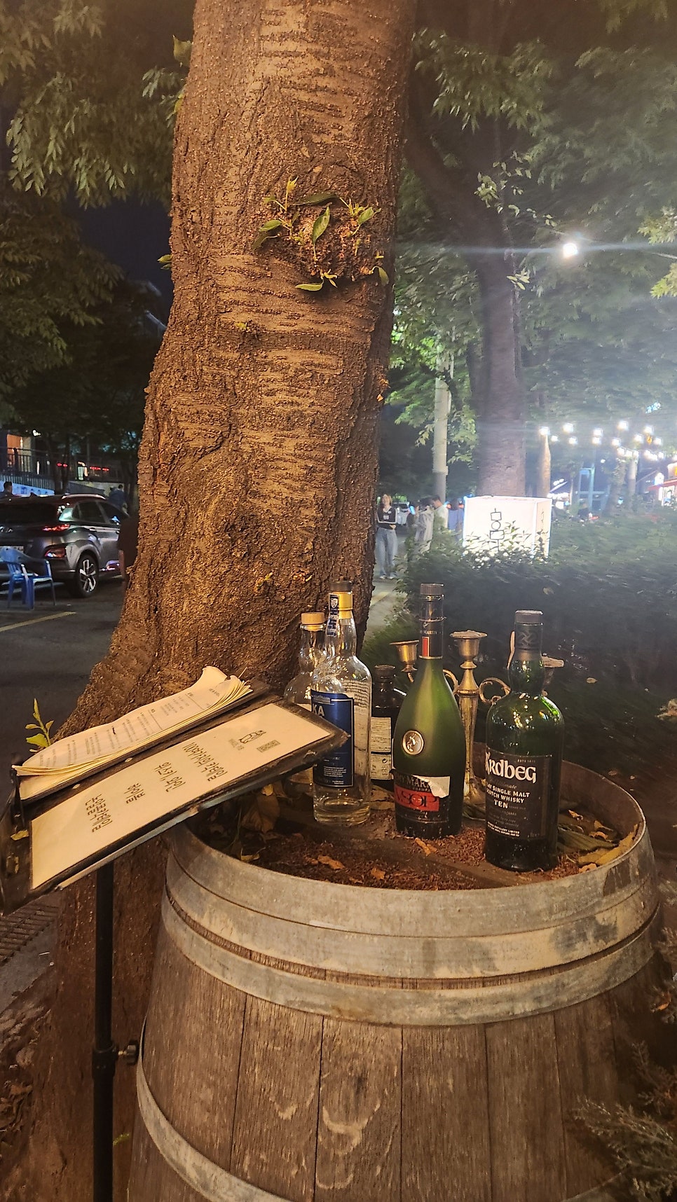 웨일스 사진 3