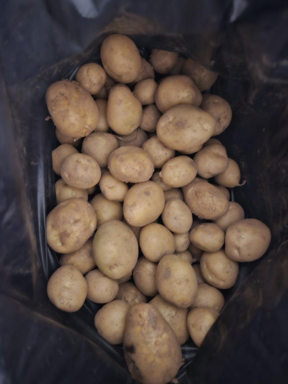 토리분식 사진 5