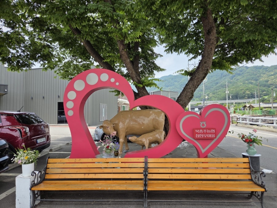 메밀면묵밥리 앙성온천점 사진 2