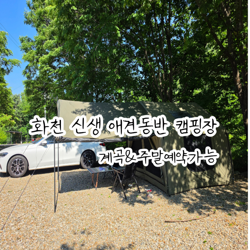 서울 근교 애견 동반 계곡 캠핑장