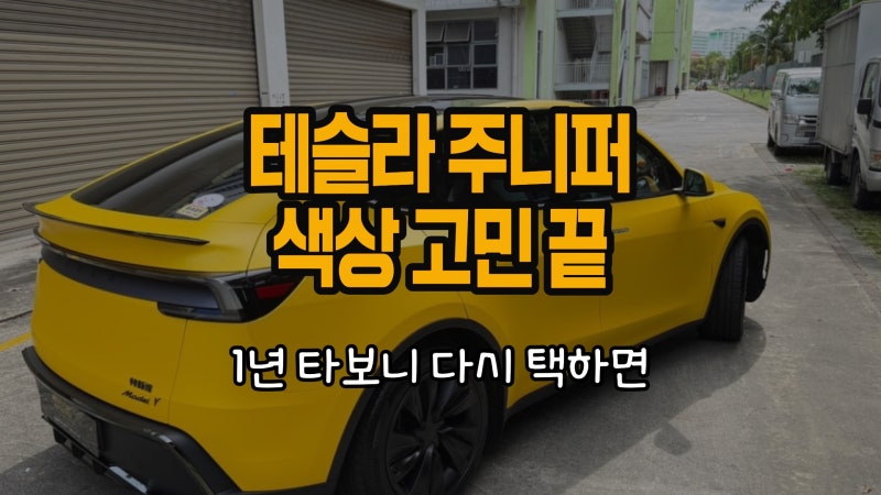 테슬라 모델Y 주니퍼 색상 추천, 후회없으려면 꼭 확인 1년 후기