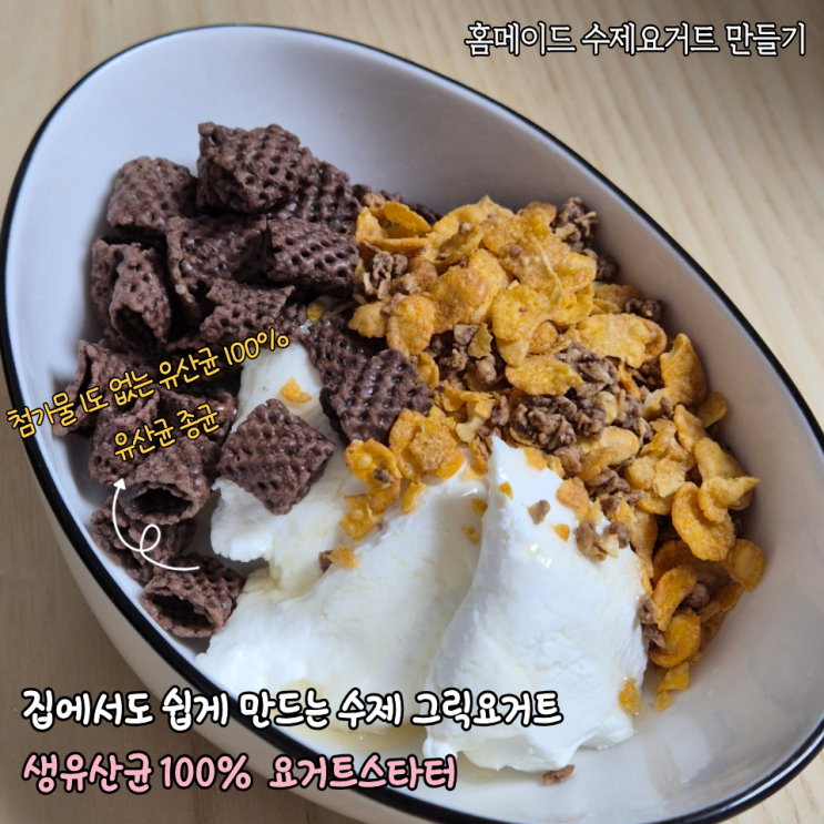  첨가물 1도 없는 홈메이드 수제요거트 그릭요거트 만들어본 후기(바이오프록스 요거트스타터 사용)