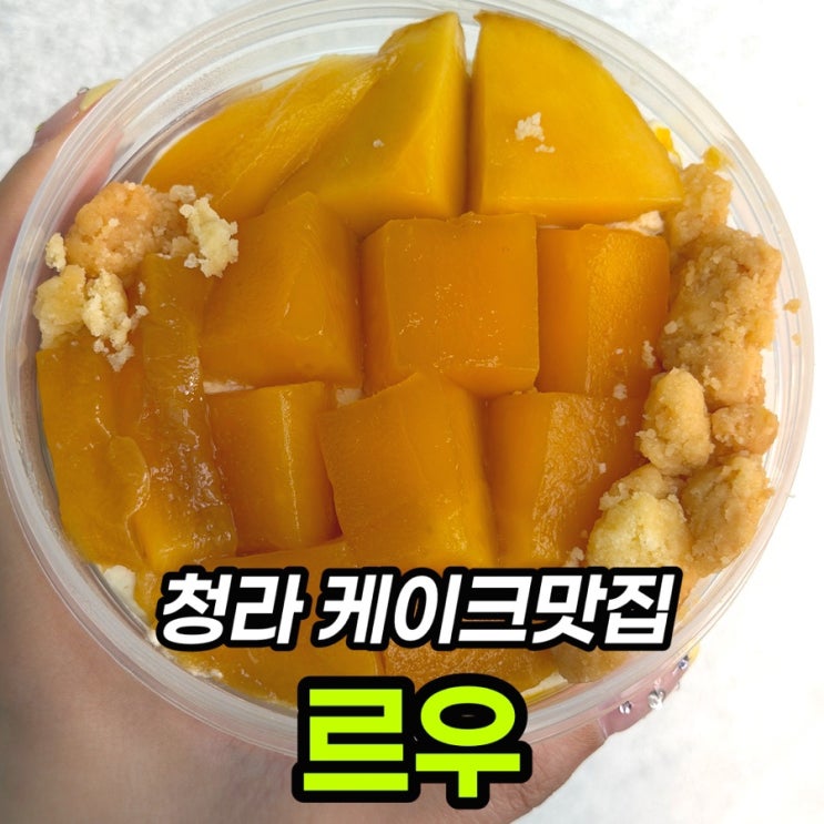  청라 케이크 맛집 르우 망고 떠먹케 멜론치즈케이크 배달 후기