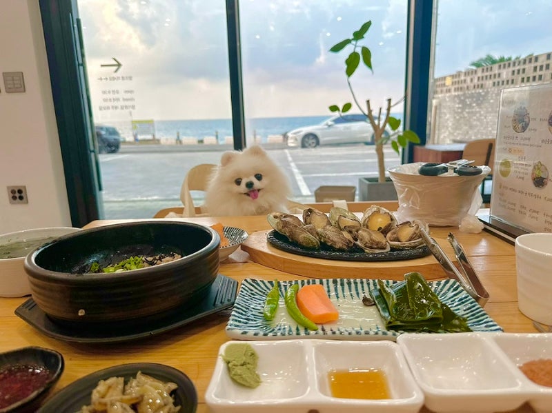 제주 애월 해안도로 애견동반 식당 몇 번이나 다시 찾은 이유