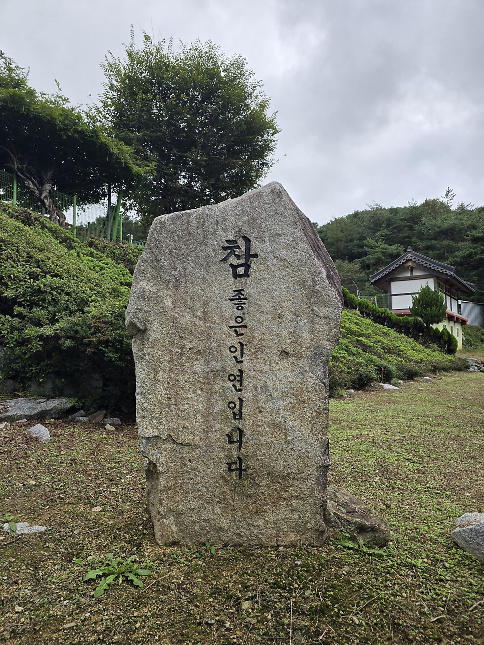 봉대산 사진 2