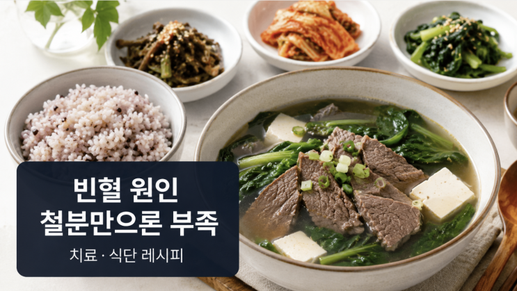  빈혈 원인 모르고 철분만 먹으면 안 되는 이유, 식단 레시피까지
