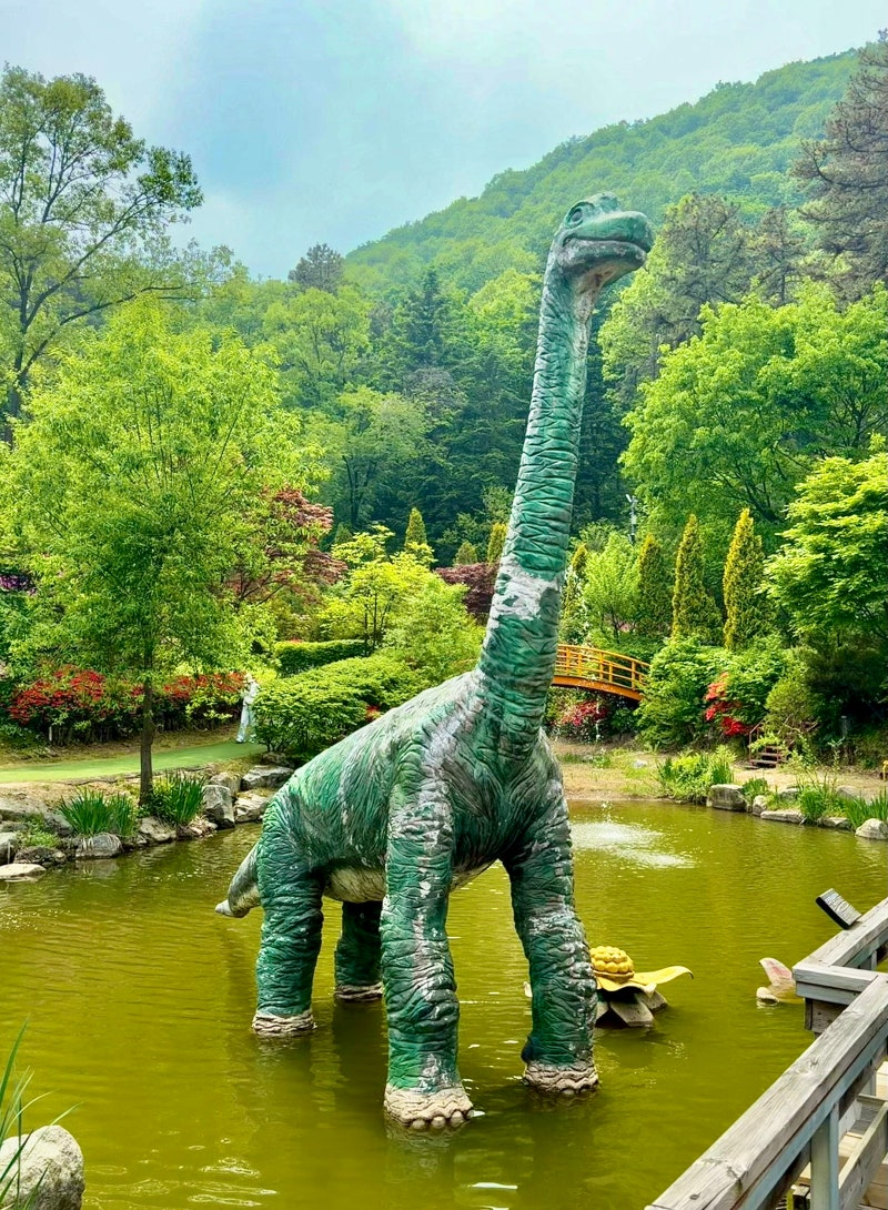 이천 여주 아기랑 가볼만한 곳, 덕평공룡수목원 추천(입장료 할인)