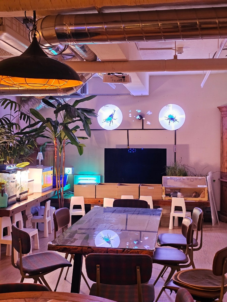 윙키핑키 사진 3