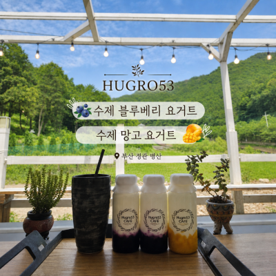 초록 풍경 속 힐링하기 좋은 정관카페, 부산 정관 병산 도자기 카페 Hugro53 방문 후기