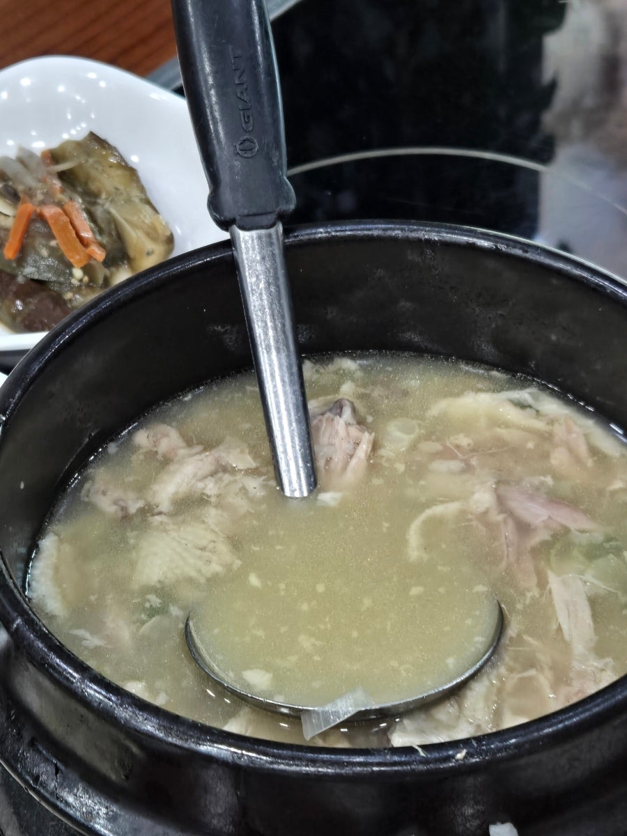 모이세 사진 5