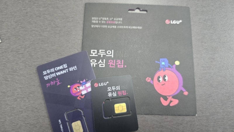 LG알뜰폰 개통 주말 토요일 일요일에도 접수 가능한가요?