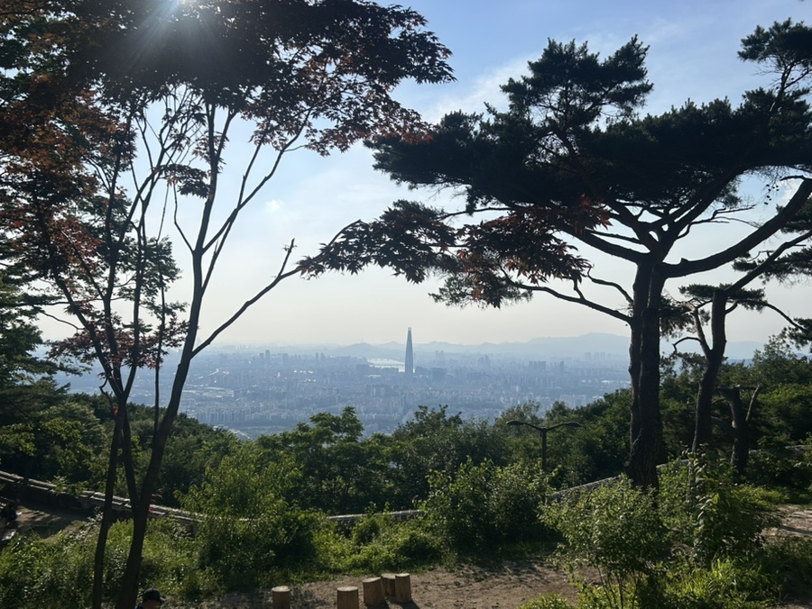 베어스타코 동탄호수점 사진 5