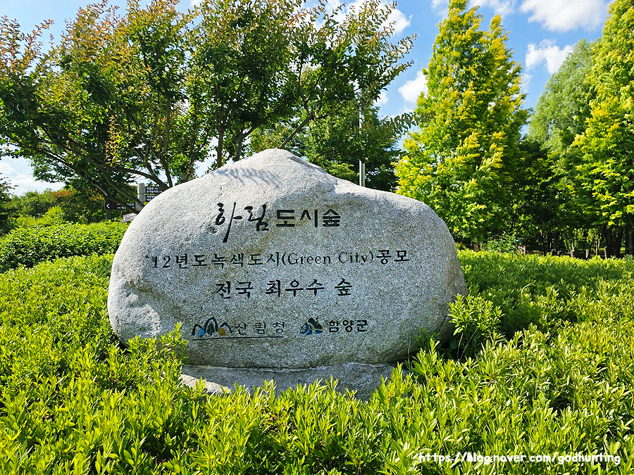 함양군 작은영화관 사진