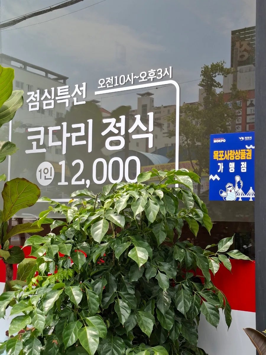 청호코다리 사진 2