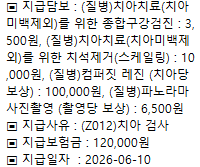 라이나손보 치아보험 환급 후기(처브 치아안심보험1904)/(구)에이스 치아보험 청구