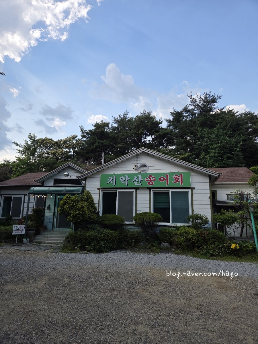 치악산송어회 사진 1