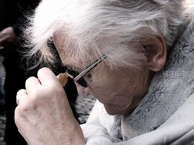태양의집 사진 4