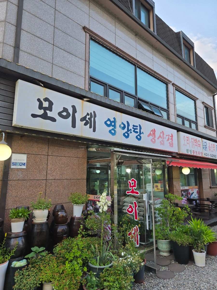 모이세 사진 1