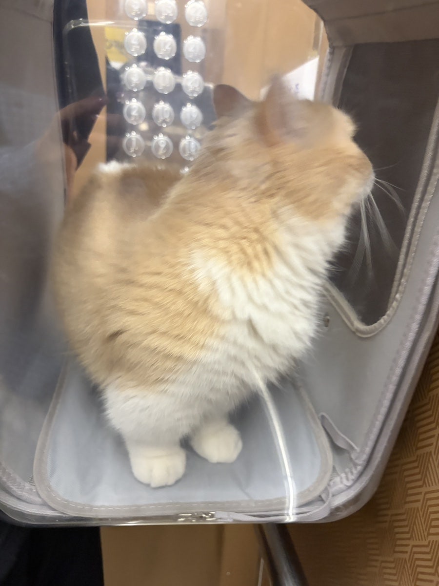 애니피아동물병원 사진 3