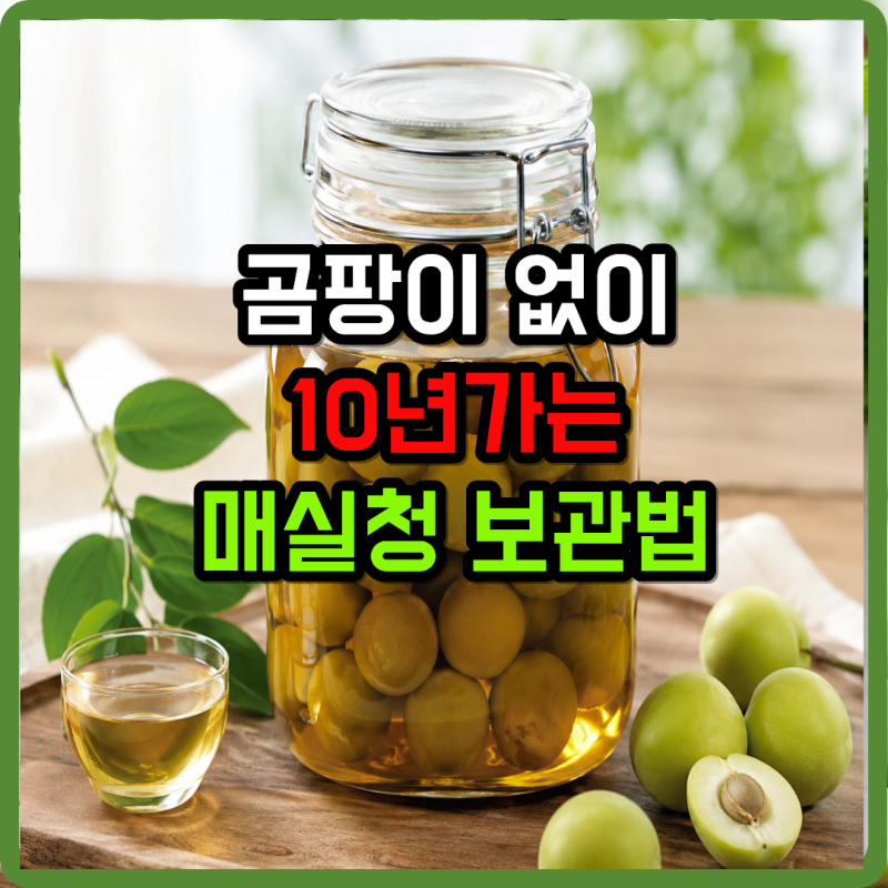 곰팡이 없이 10년 가는 매실청 보관법