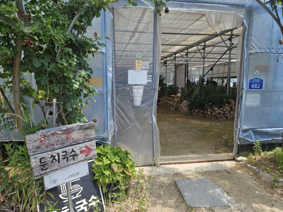 둔치국수 사진 5
