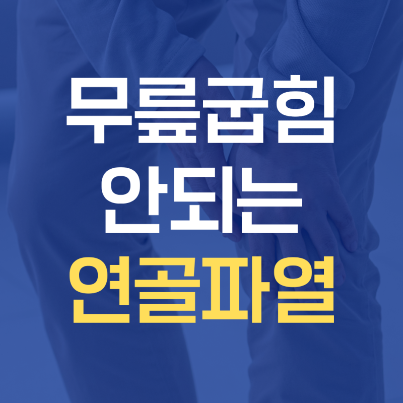 무릎 반월상 연골판 파열 수술 / 무릎관절경 수술