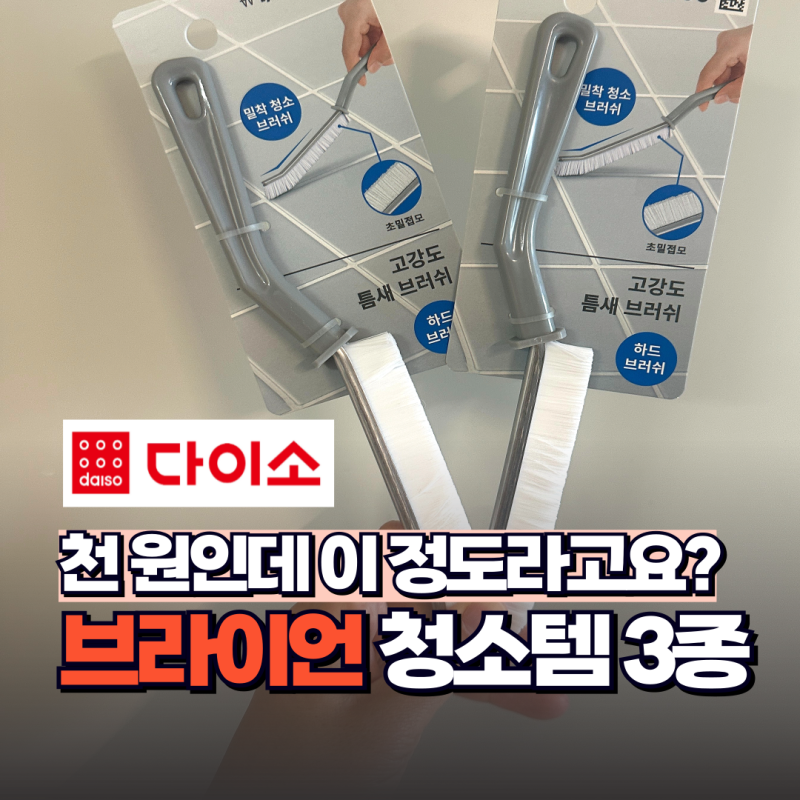 1,000원이라고 무시했는데 “청소광 브라이언”이 인정한 다이소 청소템 TOP3
