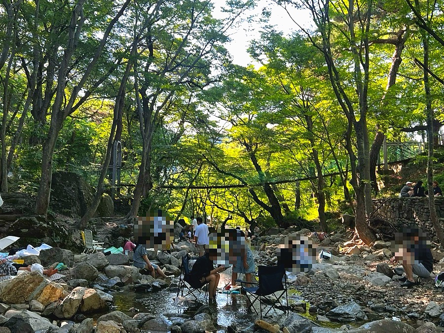 치유커피 사진 1