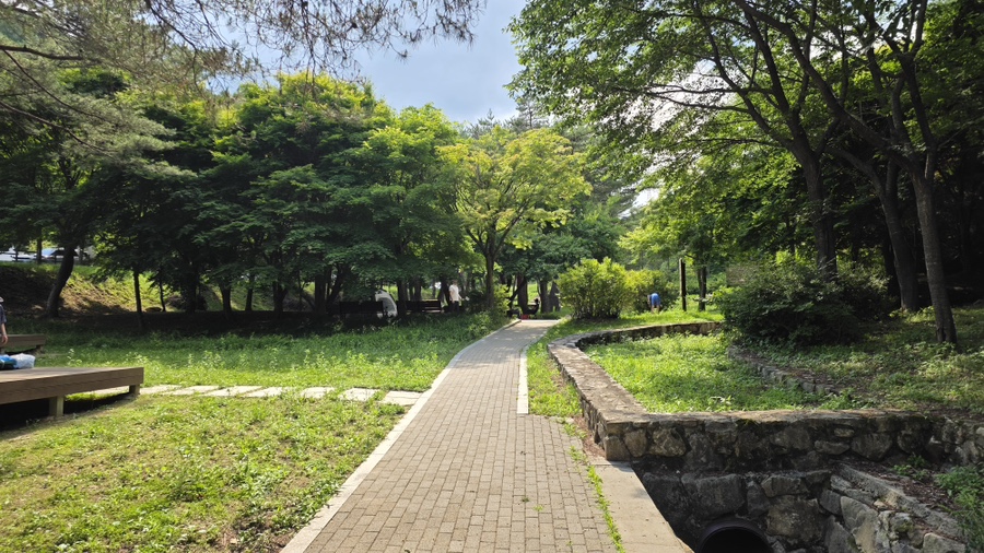 용두산산림욕장 사진 5
