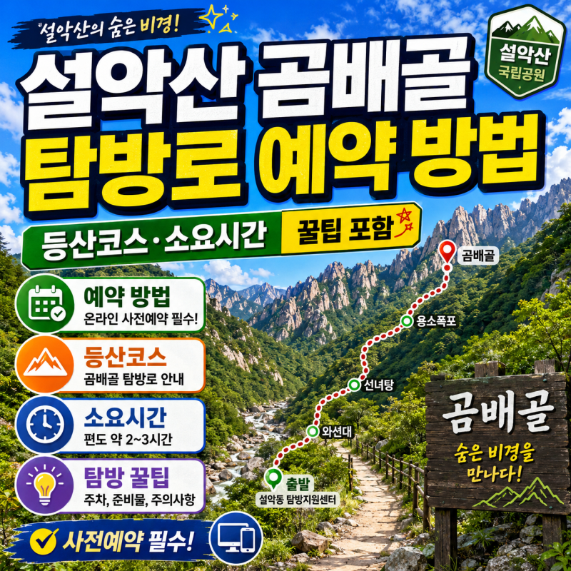 설악산 곰배골 탐방로 예약 방법(등산코스·소요시간) 꿀팁 포함