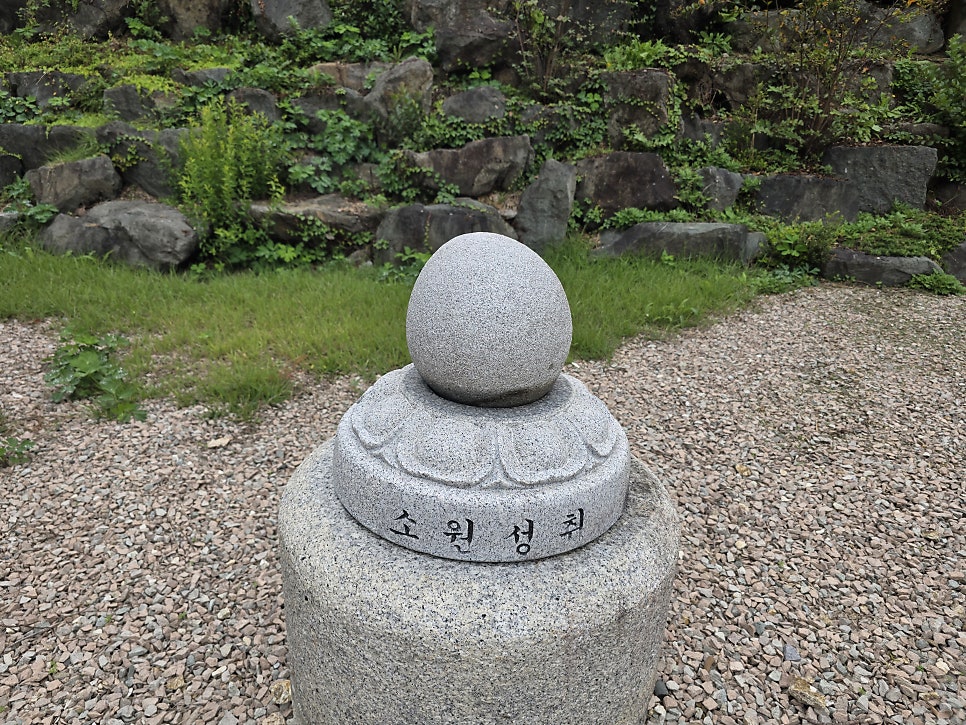 봉대산 사진 6