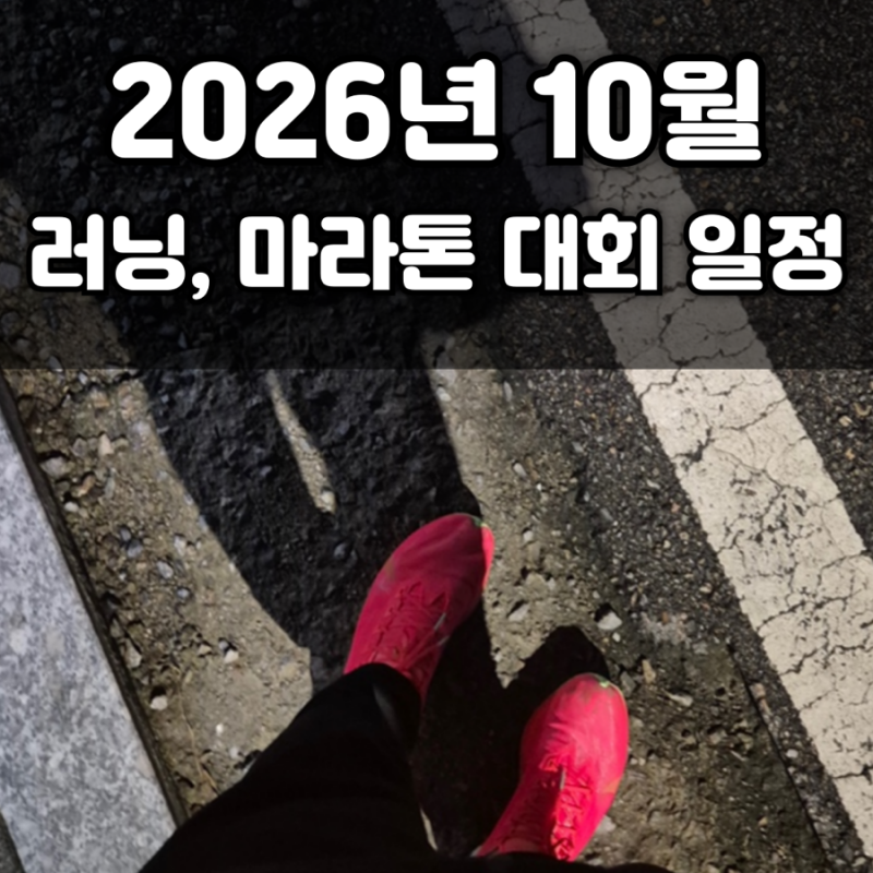 2026년 10월 마라톤,러닝 대회 일정