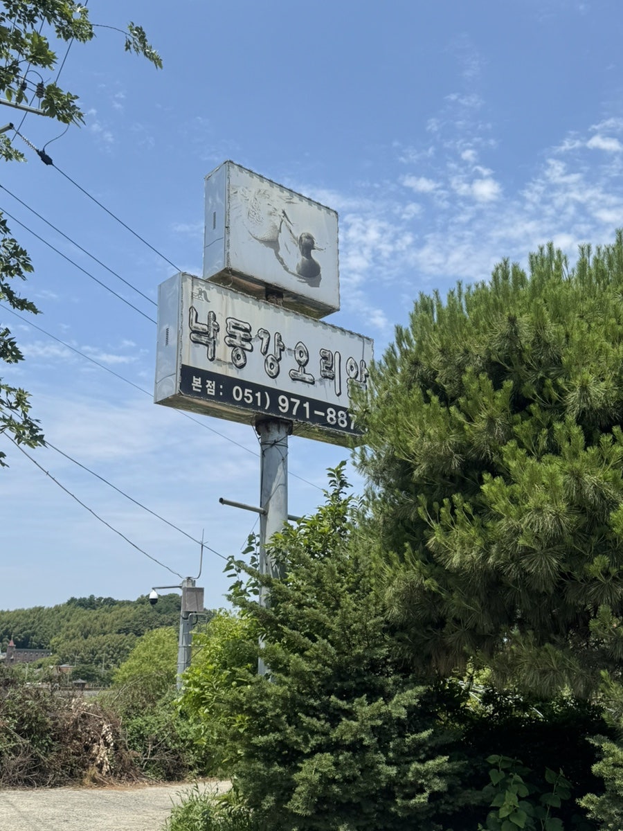 낙동강오리알 본점 사진 1
